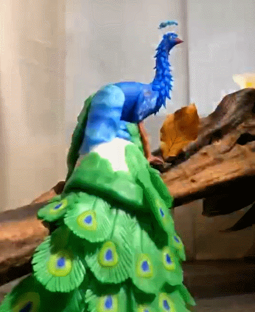 面团仿制五花肉柿子是点心!这种苏州美食惊艳全网…… 面团仿制五花肉柿子是点心!这种苏州美食惊艳全网……