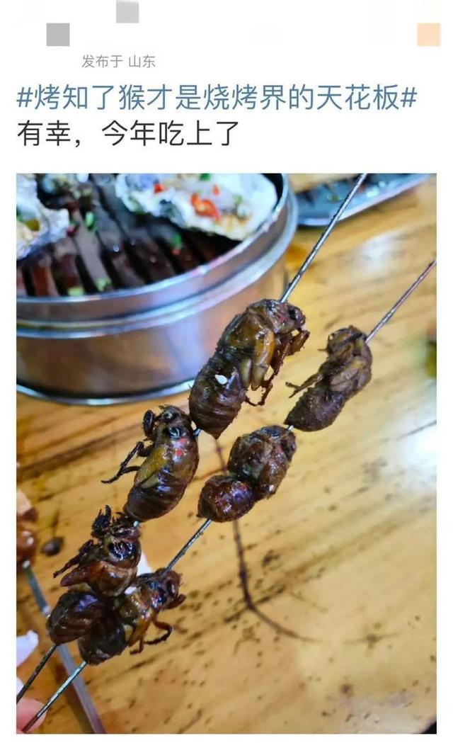 老板娘卖美食“知了”日入过万但不是人人都能吃(图2)