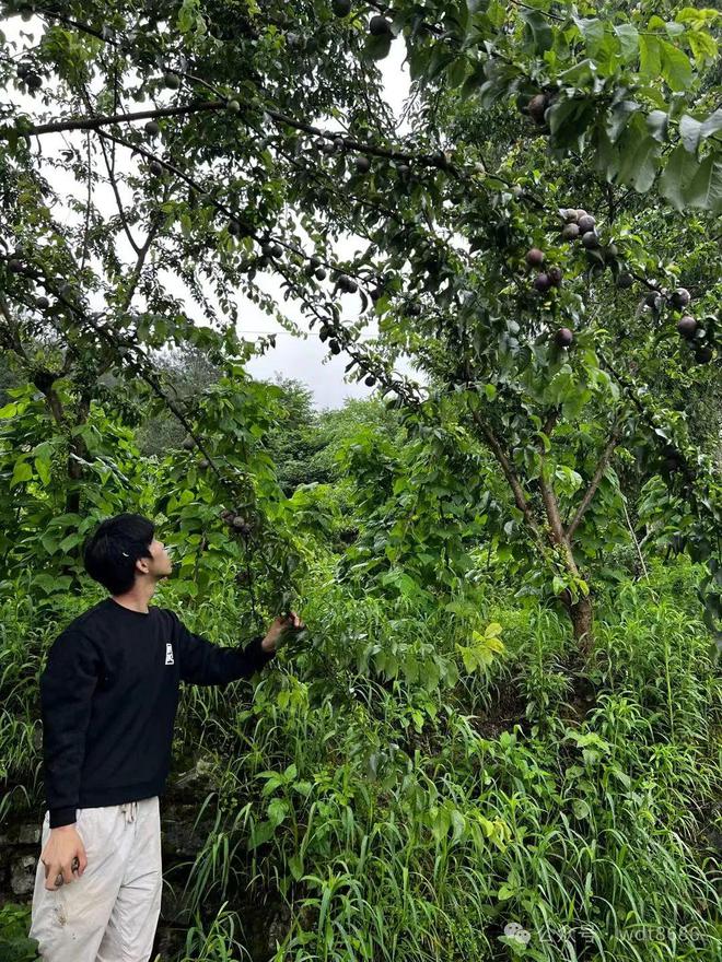 今日小暑不管多忙牢记:1不洗3不做4不贪有讲究(图2)