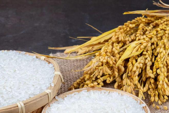 热浪来袭！今天22时20分！漳州正式进入……