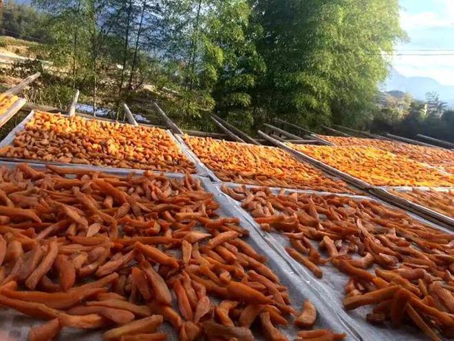 因便宜被嫌弃的宝藏美食世卫盛赞的健康之王既养生又减脂还超香甜解馋!!(图5)