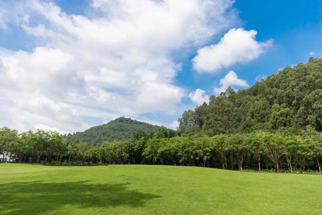 最好的养生不是锻炼不是睡觉就一个字!(图2)