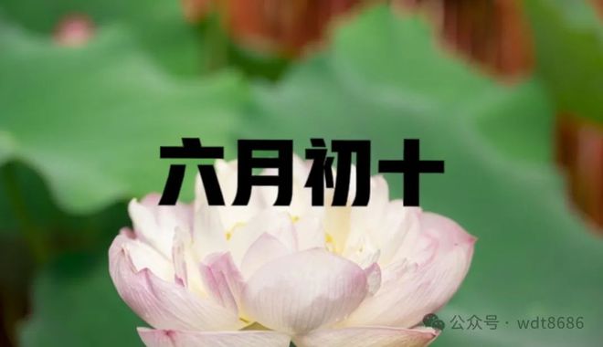 老话说“六月怕初十”今日六月初十究竟怕什么？看老祖宗咋说