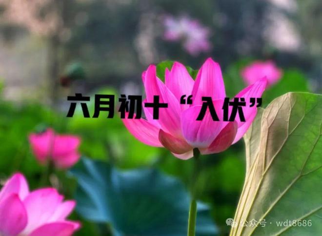 老话说“六月怕初十”今日六月初十究竟怕什么？看老祖宗咋说(图2)