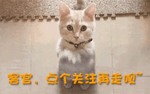 倒闭127万家！曾排队3小时这家网红火锅店撑不住了(图38)