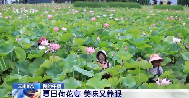 炎炎夏日这些消暑美食你最喜欢哪款? 炎炎夏日这些消暑美食你最喜欢哪款?