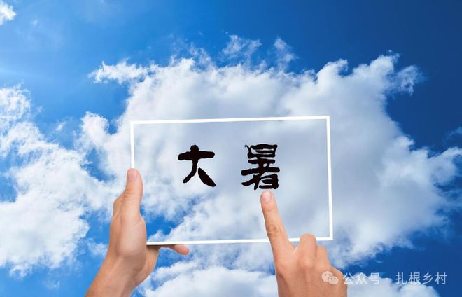明日大暑“大暑吃五宝半年无病扰”五宝是啥？有钱没有别忘吃(图3)