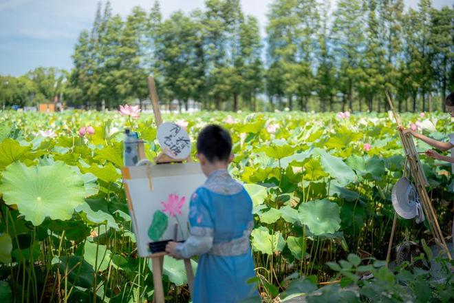 “荷”青浦金泽首届观莲节来场约会更有本地“夏日美食”等你来拔草 “荷”青浦金泽首届观莲节来场约会更有本地“夏日美食”等你来拔草