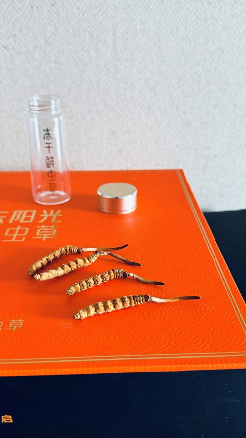 现代养生新选择东阳光鲜虫草的卓越之道(图3)