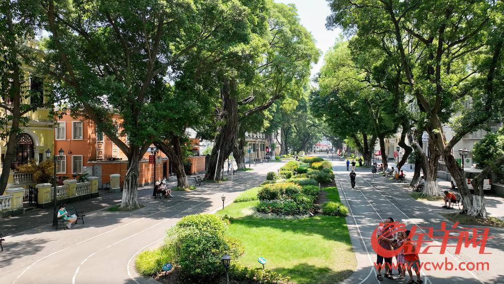 【图集】沙面岛：打造岭南特色的“欧陆风情美食区”｜荔湾美食集聚区巡礼②(图2)