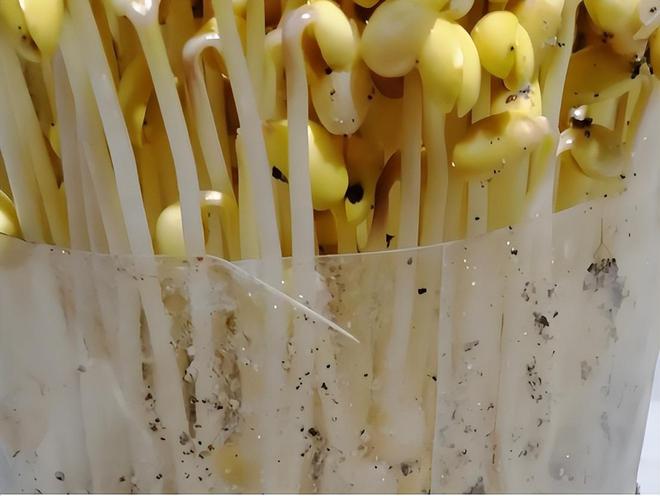 医生提醒:岁数大了宁可吃腌菜熏肉都不要多吃这4种蔬菜(图7)