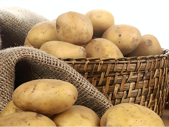 医生提醒:岁数大了宁可吃腌菜熏肉都不要多吃这4种蔬菜(图5)