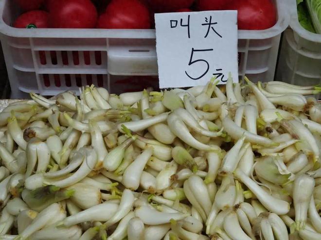 这种南方人超爱的美味食物我打赌北方人不仅没吃过还没见过！