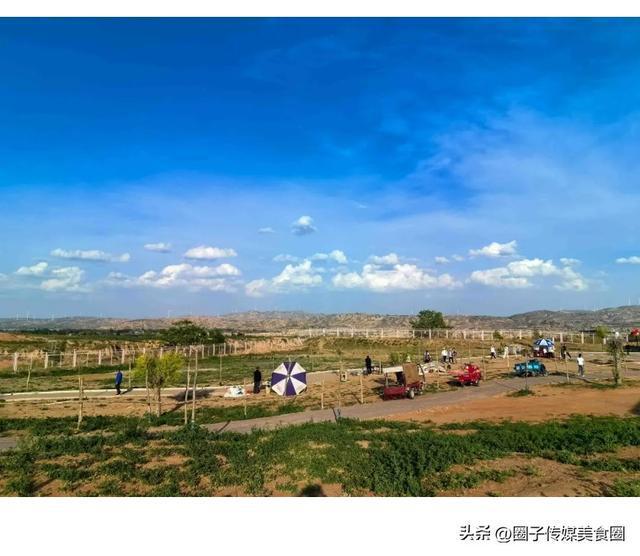 靖边美食吃撑了羊肉面一口气吃了三大碗晚上就后悔了……(图2)