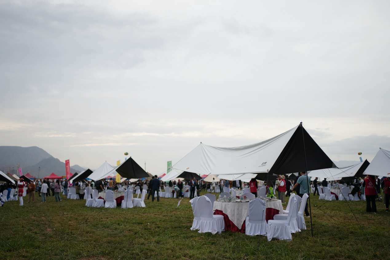 甘肃东乡县：向阳花文化旅游美食节开幕(图4)