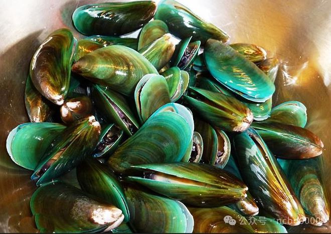 6只大生蚝不到40元!这些贝类美食你都吃过吗?总有一个是你喜欢的!(图4)