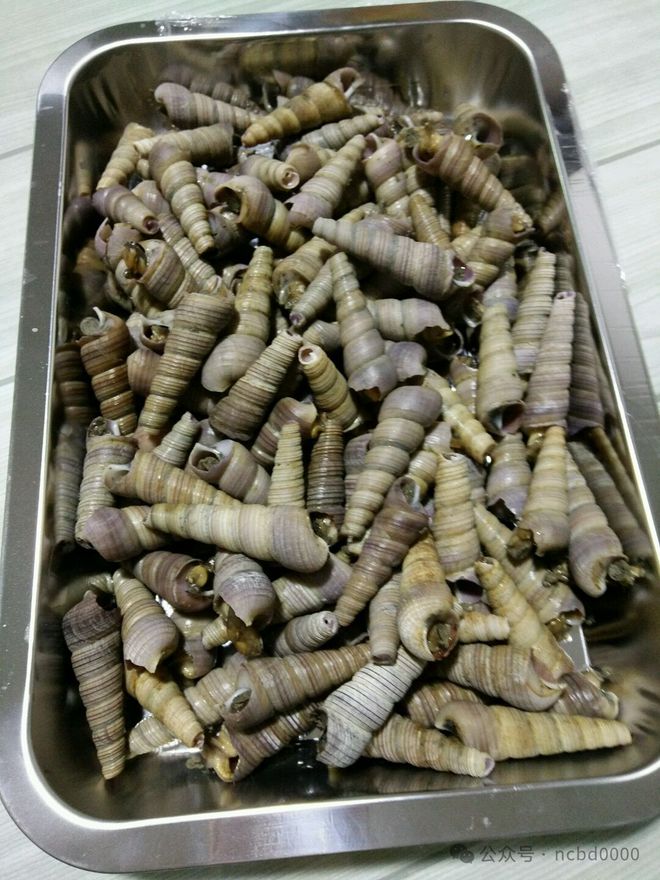 6只大生蚝不到40元!这些贝类美食你都吃过吗?总有一个是你喜欢的!(图7)