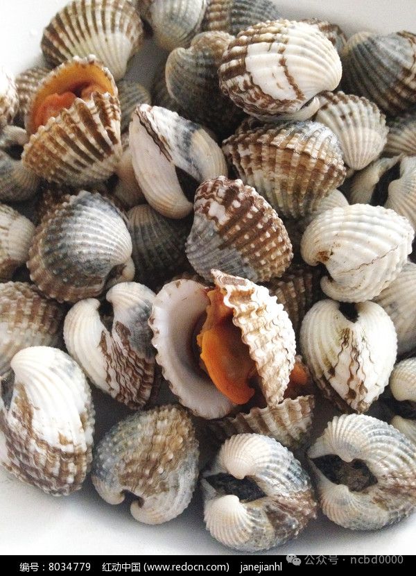 6只大生蚝不到40元!这些贝类美食你都吃过吗?总有一个是你喜欢的!(图10)