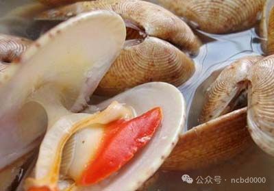 6只大生蚝不到40元!这些贝类美食你都吃过吗?总有一个是你喜欢的!(图16)