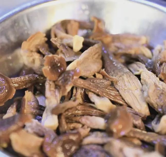 美食厨房|鹿茸菌炖猪肚 美食厨房|鹿茸菌炖猪肚