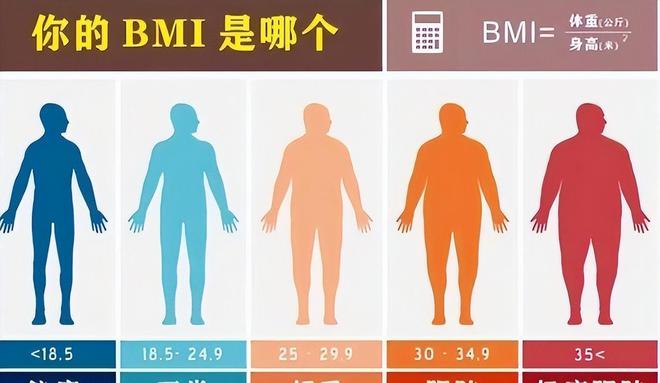 中美日肥胖率差距显著：美国40%印度43%中国连年飙升！(图11)
