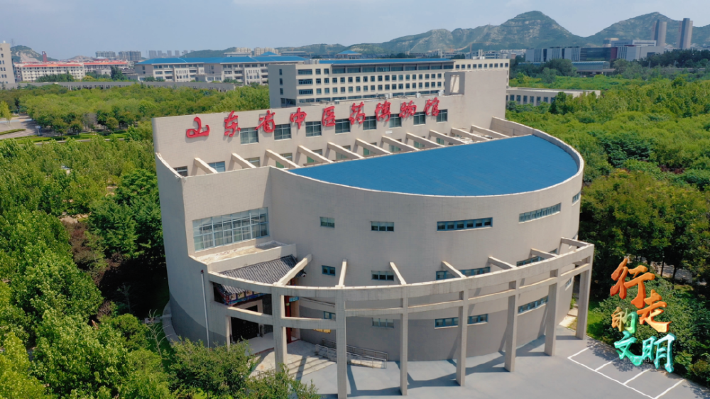 山东济南：一段中医药与美食的雅集之旅