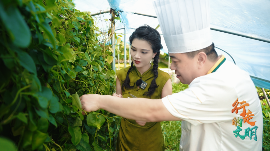 山东济南：一段中医药与美食的雅集之旅(图3)