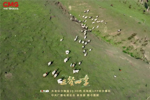 《三餐四季》寻味青海品尝高原独特味道(图5)