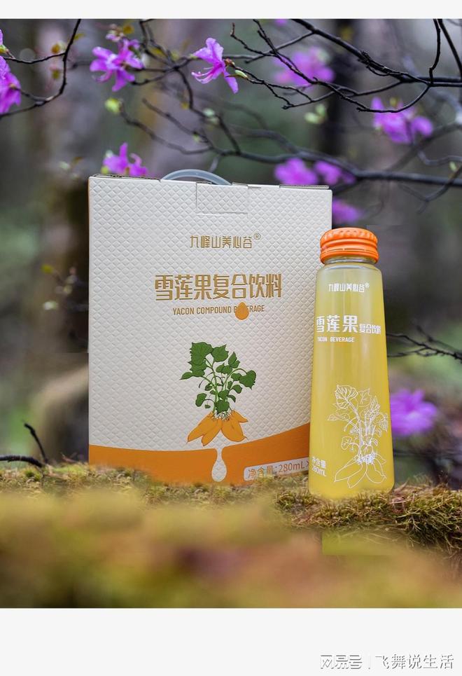 九峰山养心谷：探寻自然之美与健康之道