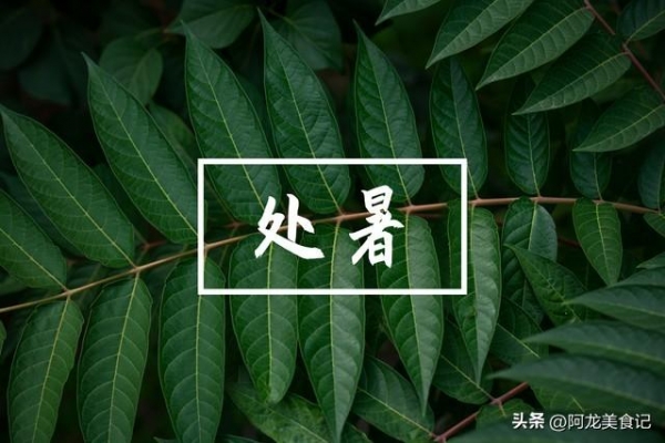 8月22日处暑提醒：5件事别犯了忌讳(图2)